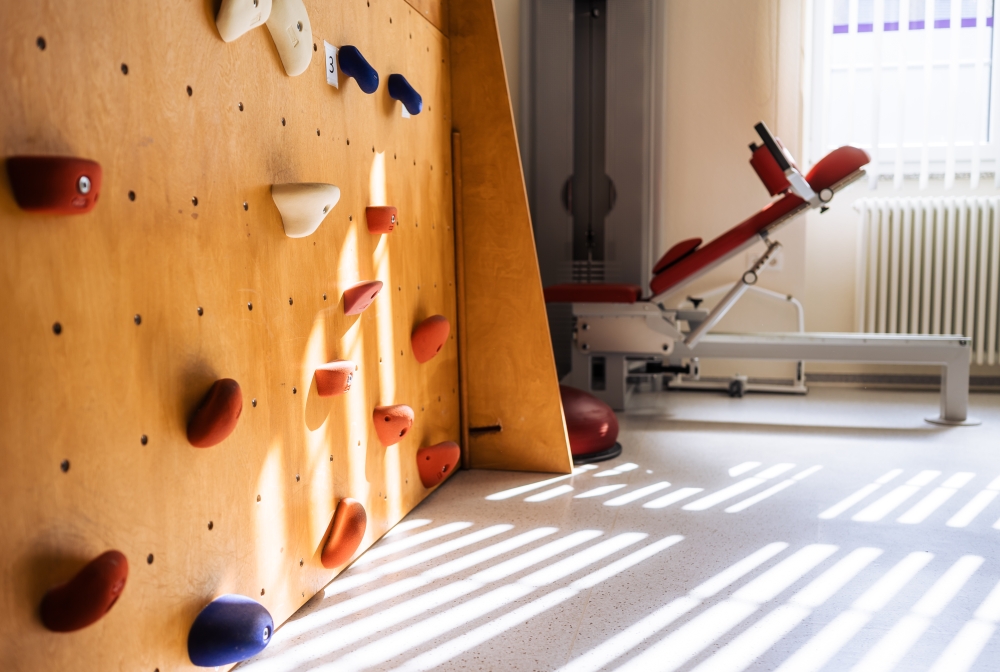 PhysioBraun Kletterwand